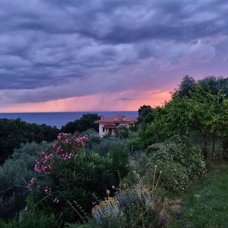 Múggia Piccola California Bed & Breakfast エクステリア 写真