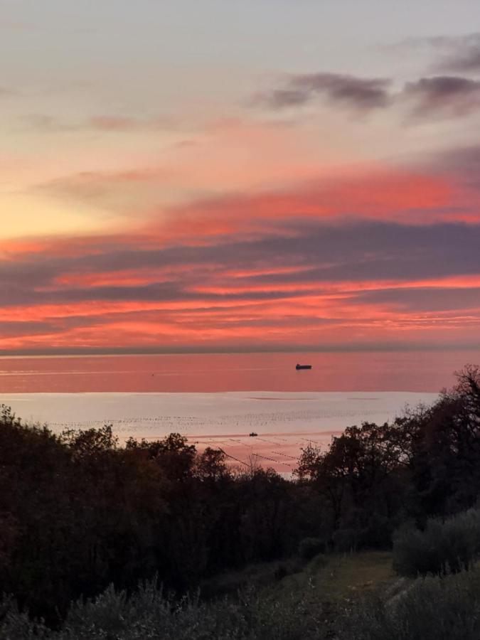 Múggia Piccola California Bed & Breakfast エクステリア 写真