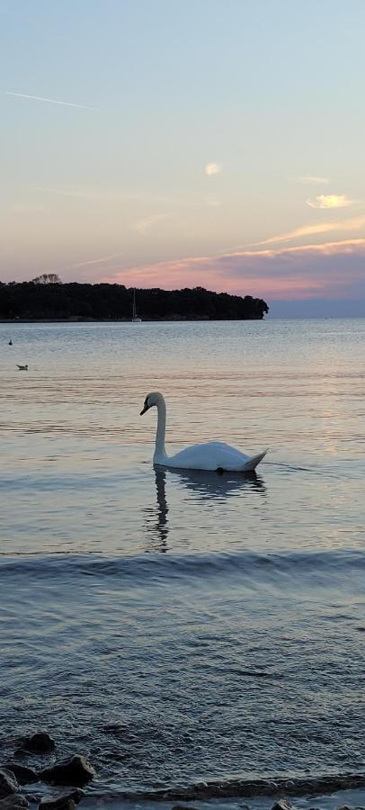 Múggia Piccola California Bed & Breakfast エクステリア 写真