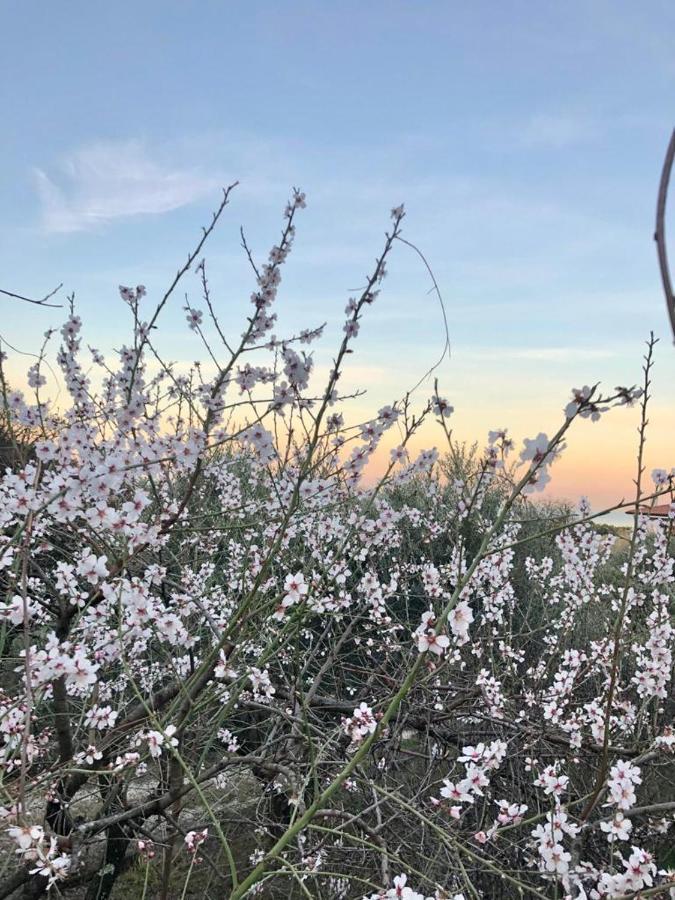 Múggia Piccola California Bed & Breakfast エクステリア 写真